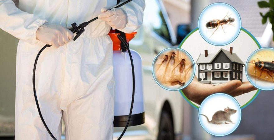 Finike Böcek İlaçlama