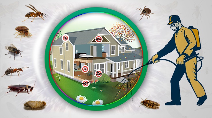 Finike Böcek İlaçlama