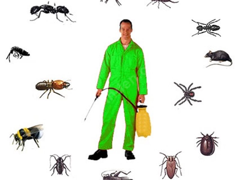 Finike Böcek İlaçlama